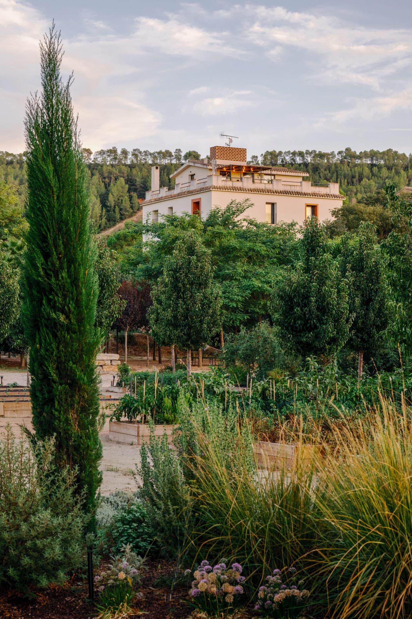 Mas de l'Illa — finca ecológica junto al Ebro en Tivissa: jardín y masía al atardecer