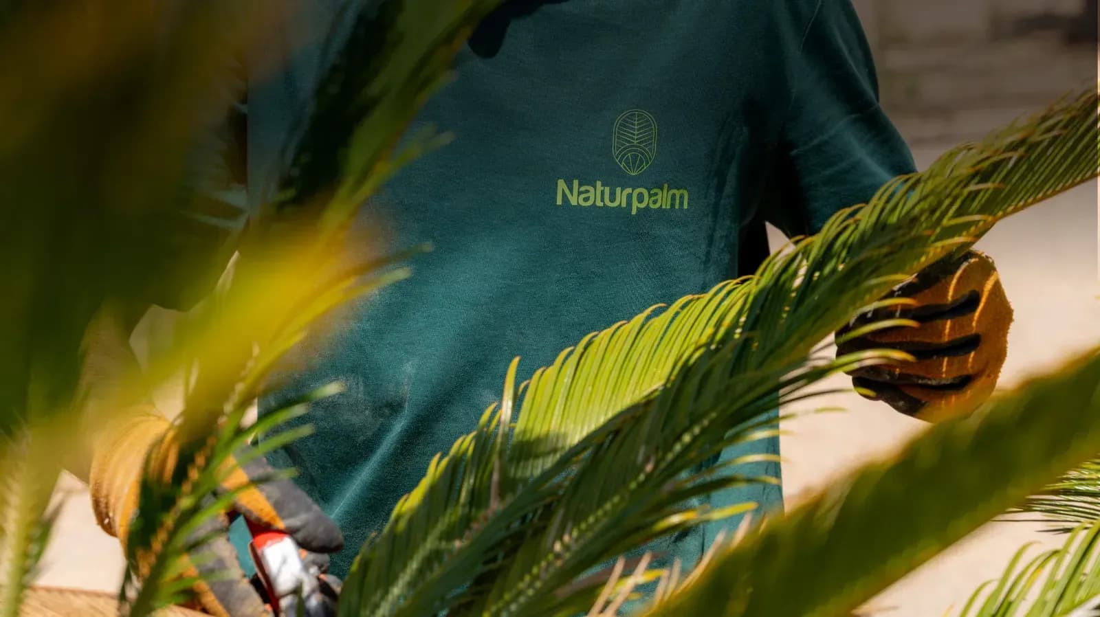 Naturpalm